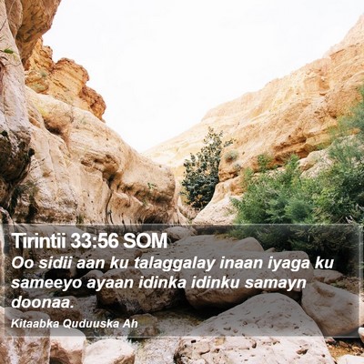 Tirintii 33:56 SOM Bible Verse Image