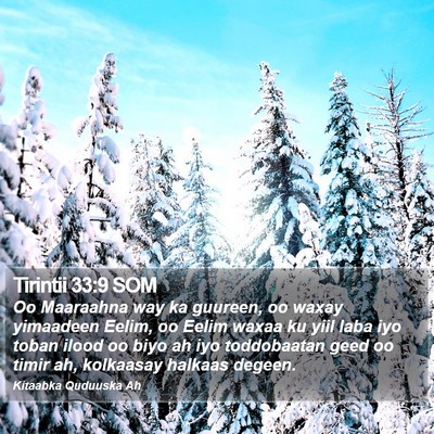 Tirintii 33:9 SOM Bible Verse Image