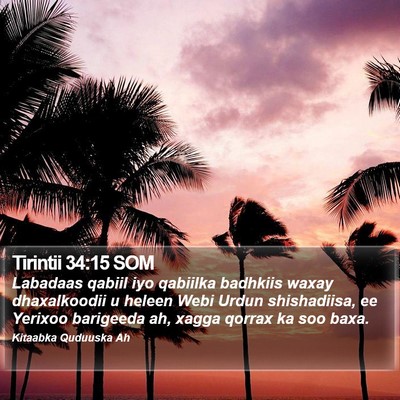 Tirintii 34:15 SOM Bible Verse Image