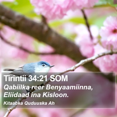 Tirintii 34:21 SOM Bible Verse Image