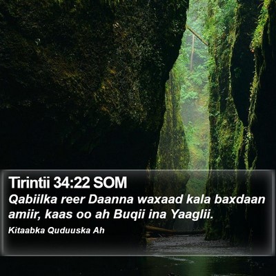 Tirintii 34:22 SOM Bible Verse Image