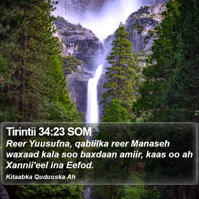 Tirintii 34:23 SOM Bible Verse Image