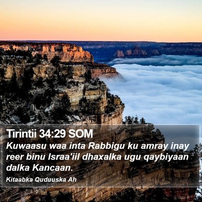 Tirintii 34:29 SOM Bible Verse Image