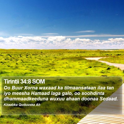 Tirintii 34:8 SOM Bible Verse Image