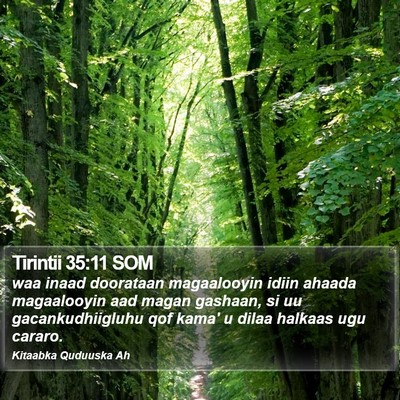 Tirintii 35:11 SOM Bible Verse Image
