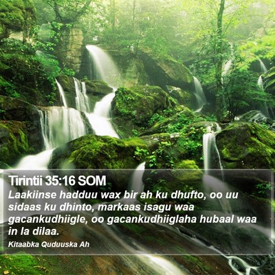 Tirintii 35:16 SOM Bible Verse Image