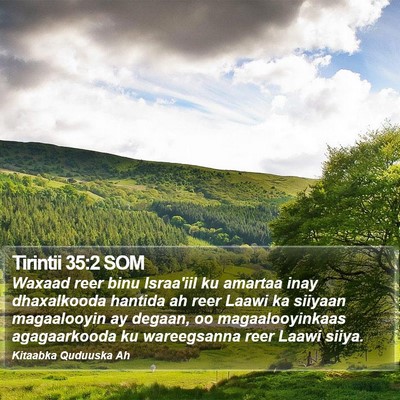 Tirintii 35:2 SOM Bible Verse Image