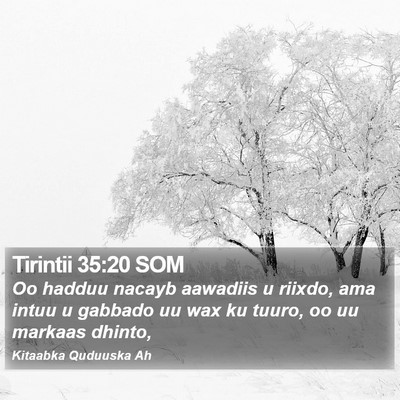Tirintii 35:20 SOM Bible Verse Image