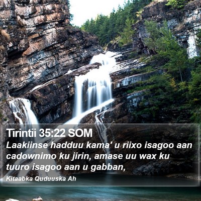 Tirintii 35:22 SOM Bible Verse Image