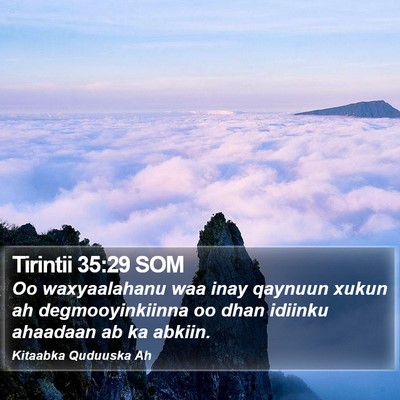Tirintii 35:29 SOM Bible Verse Image