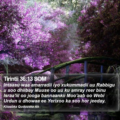Tirintii 36:13 SOM Bible Verse Image