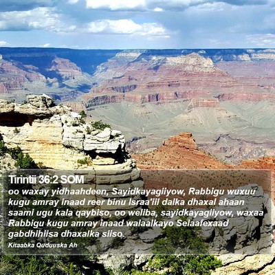 Tirintii 36:2 SOM Bible Verse Image