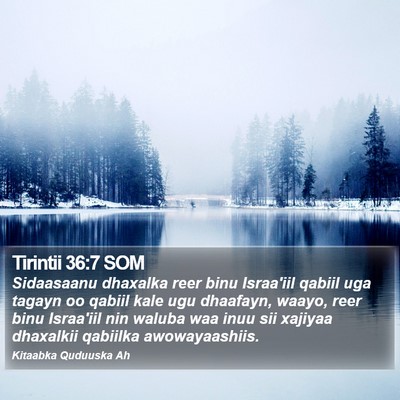 Tirintii 36:7 SOM Bible Verse Image