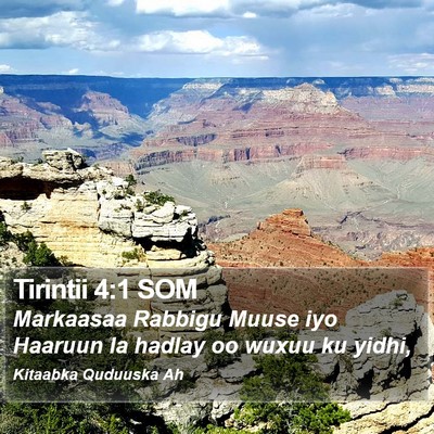 Tirintii 4:1 SOM Bible Verse Image
