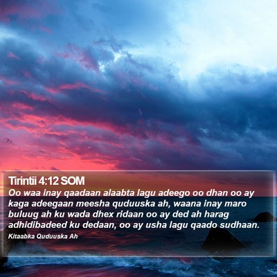 Tirintii 4:12 SOM Bible Verse Image