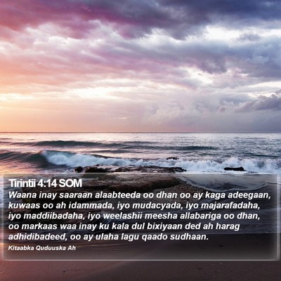 Tirintii 4:14 SOM Bible Verse Image
