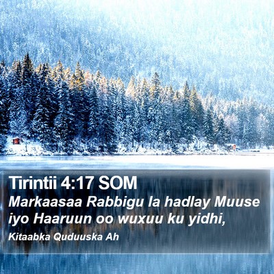 Tirintii 4:17 SOM Bible Verse Image
