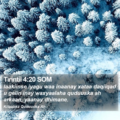 Tirintii 4:20 SOM Bible Verse Image