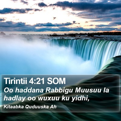 Tirintii 4:21 SOM Bible Verse Image