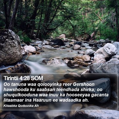 Tirintii 4:28 SOM Bible Verse Image
