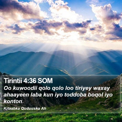 Tirintii 4:36 SOM Bible Verse Image