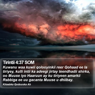 Tirintii 4:37 SOM Bible Verse Image