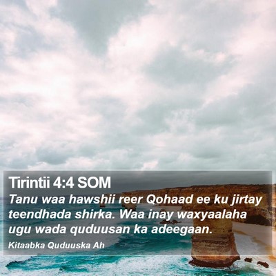 Tirintii 4:4 SOM Bible Verse Image