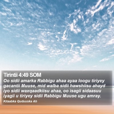 Tirintii 4:49 SOM Bible Verse Image