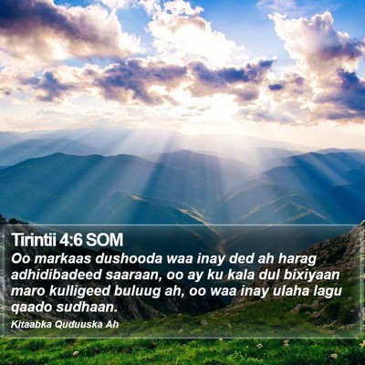 Tirintii 4:6 SOM Bible Verse Image