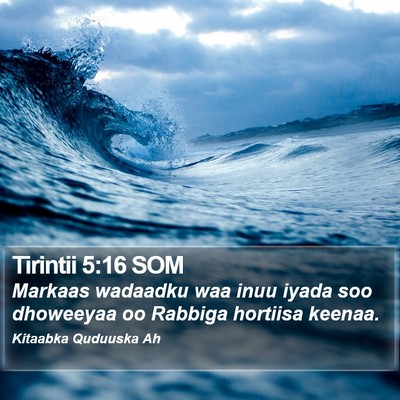 Tirintii 5:16 SOM Bible Verse Image