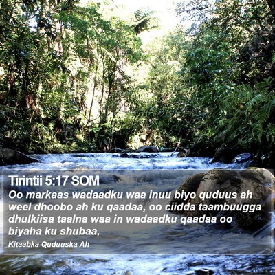 Tirintii 5:17 SOM Bible Verse Image