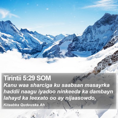 Tirintii 5:29 SOM Bible Verse Image