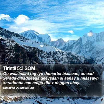 Tirintii 5:3 SOM Bible Verse Image