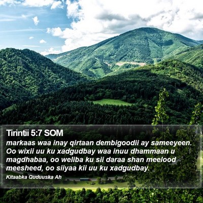 Tirintii 5:7 SOM Bible Verse Image