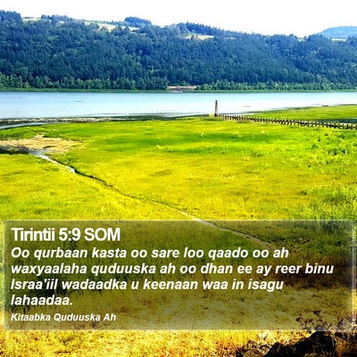 Tirintii 5:9 SOM Bible Verse Image