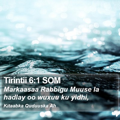 Tirintii 6:1 SOM Bible Verse Image