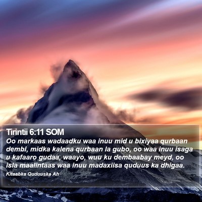Tirintii 6:11 SOM Bible Verse Image
