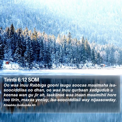 Tirintii 6:12 SOM Bible Verse Image