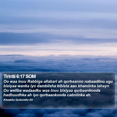 Tirintii 6:17 SOM Bible Verse Image