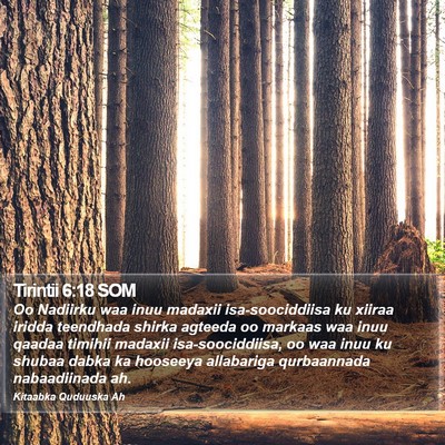 Tirintii 6:18 SOM Bible Verse Image