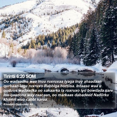 Tirintii 6:20 SOM Bible Verse Image