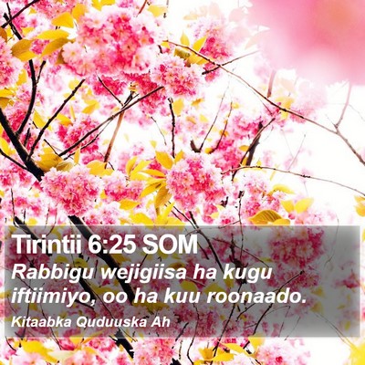 Tirintii 6:25 SOM Bible Verse Image