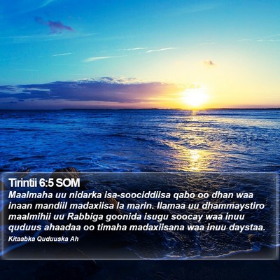 Tirintii 6:5 SOM Bible Verse Image