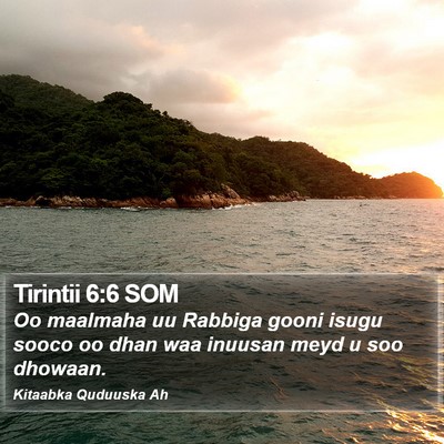 Tirintii 6:6 SOM Bible Verse Image