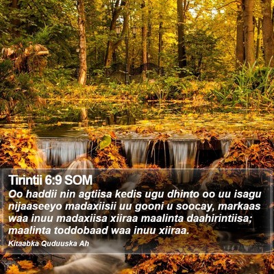 Tirintii 6:9 SOM Bible Verse Image