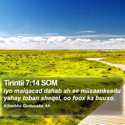 Tirintii 7:14 SOM Bible Verse Image