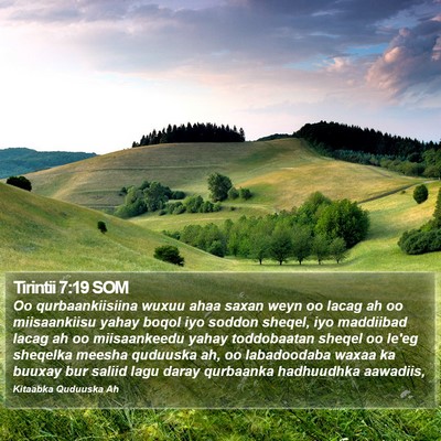 Tirintii 7:19 SOM Bible Verse Image