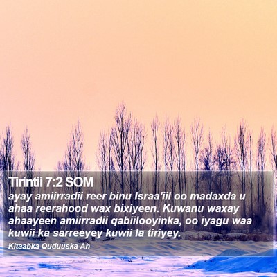 Tirintii 7:2 SOM Bible Verse Image