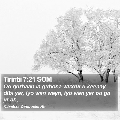 Tirintii 7:21 SOM Bible Verse Image