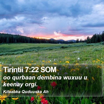 Tirintii 7:22 SOM Bible Verse Image
